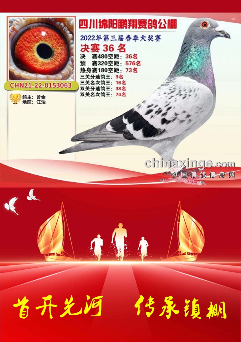 鸽王9名