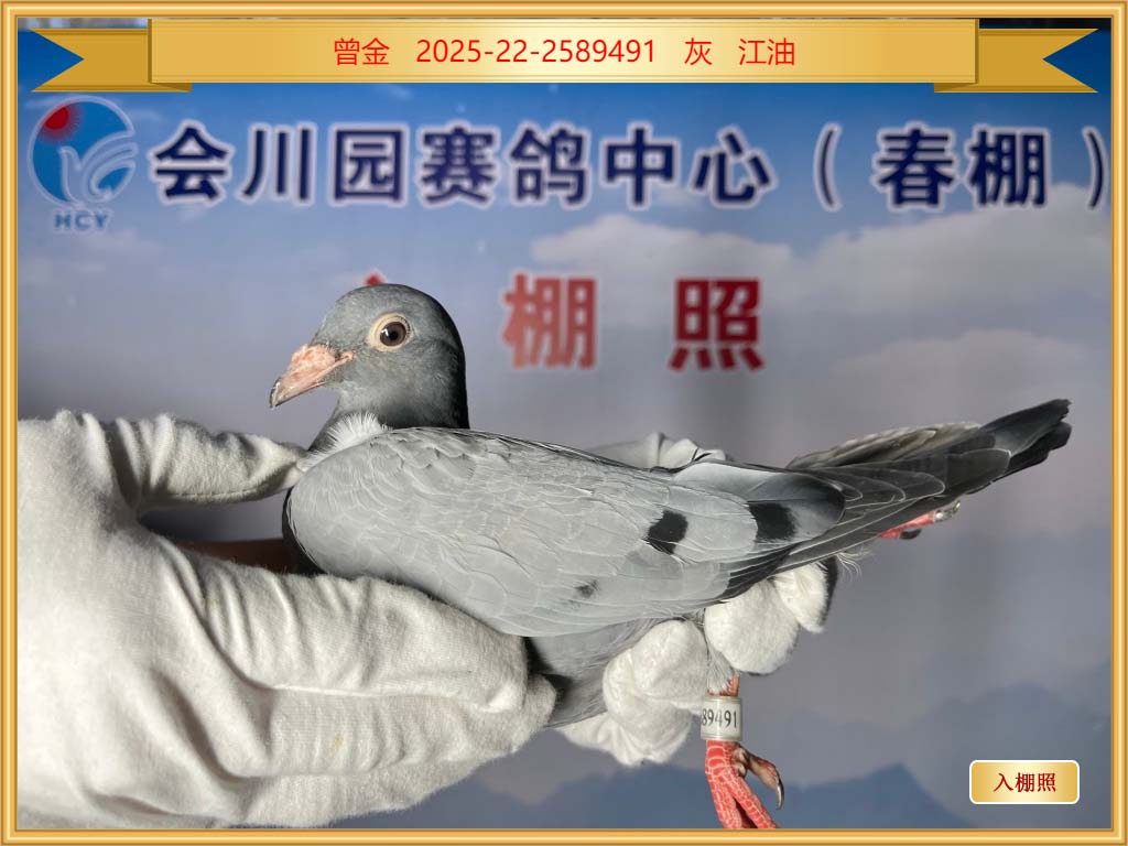 2025-22-2589491