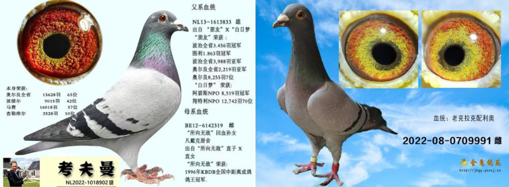 2526