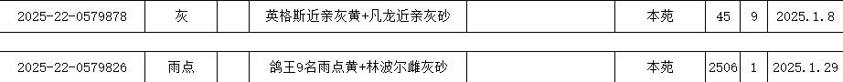 南充豪杰2025秋