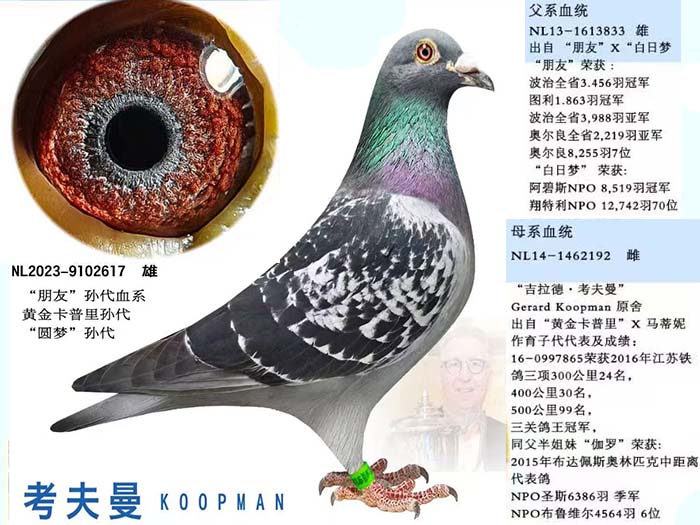 考夫曼原舍雄
