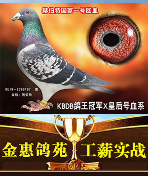 外国原环