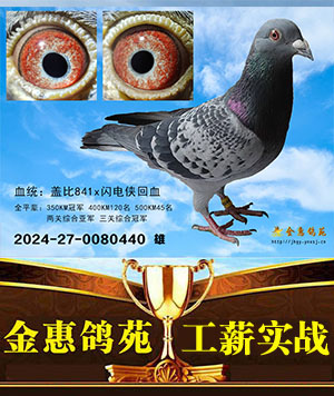 龙祥家族