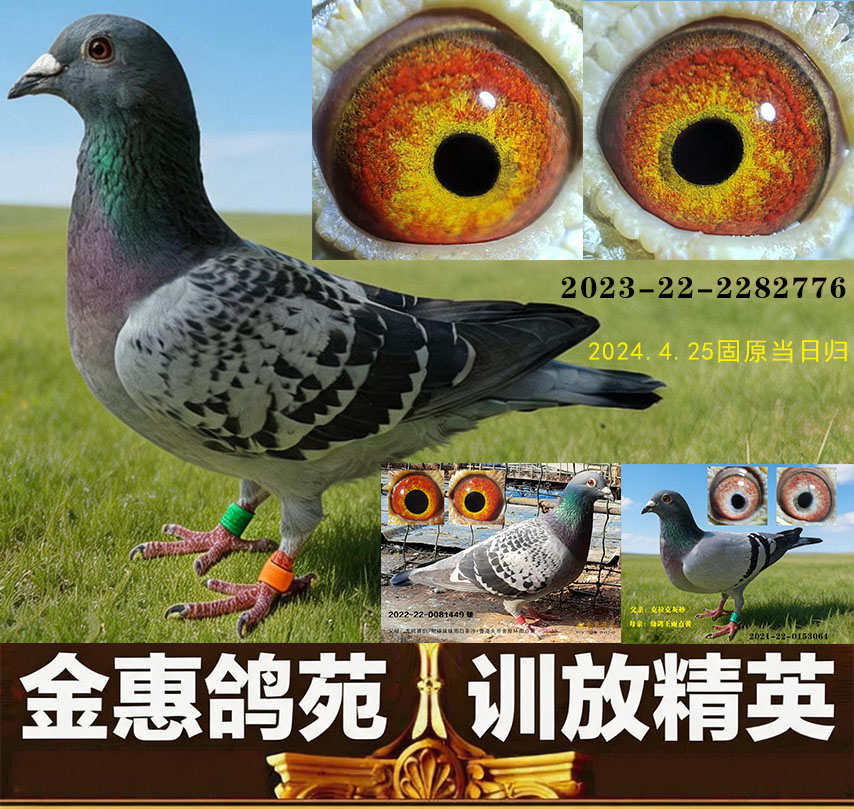 24固原雌