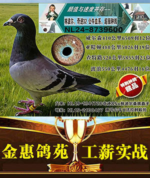 外国原环