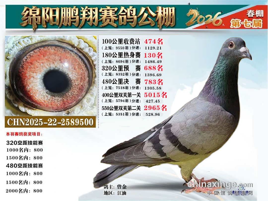 26鹏翔加站雌