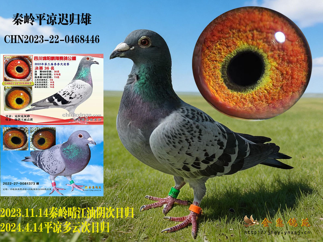秦岭平凉迟归雄