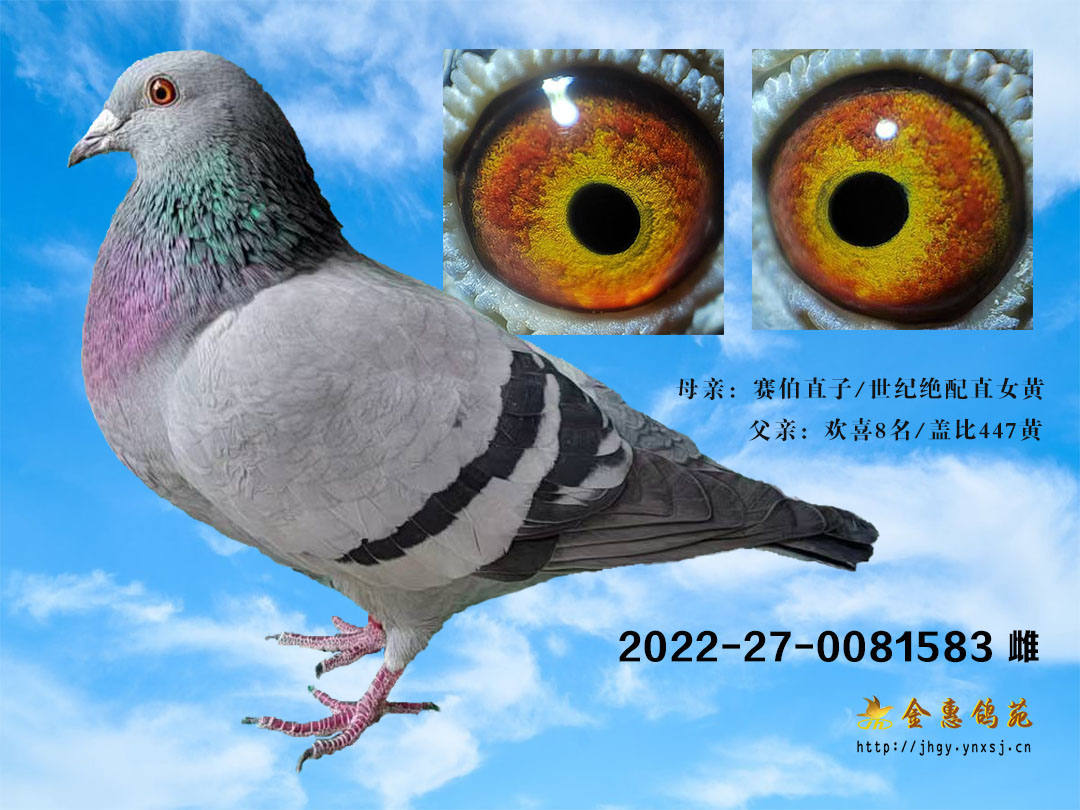 欢喜汽车妹