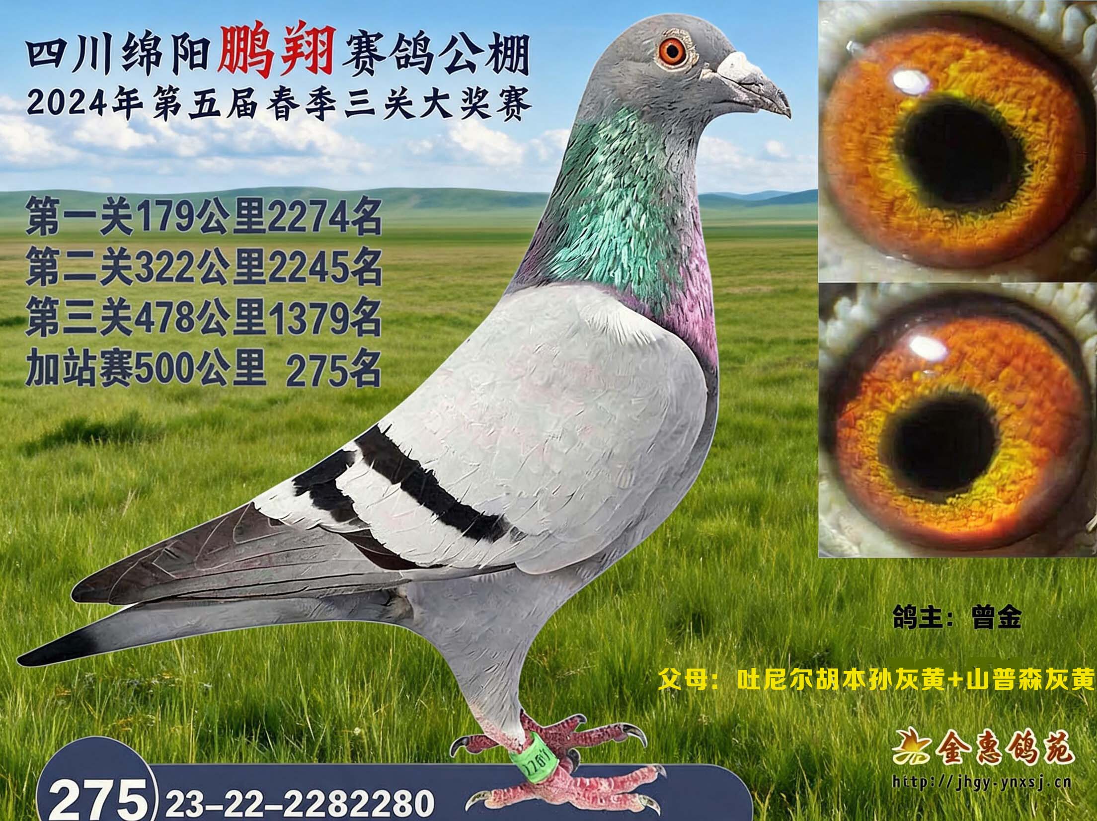 24鹏翔加站雌
