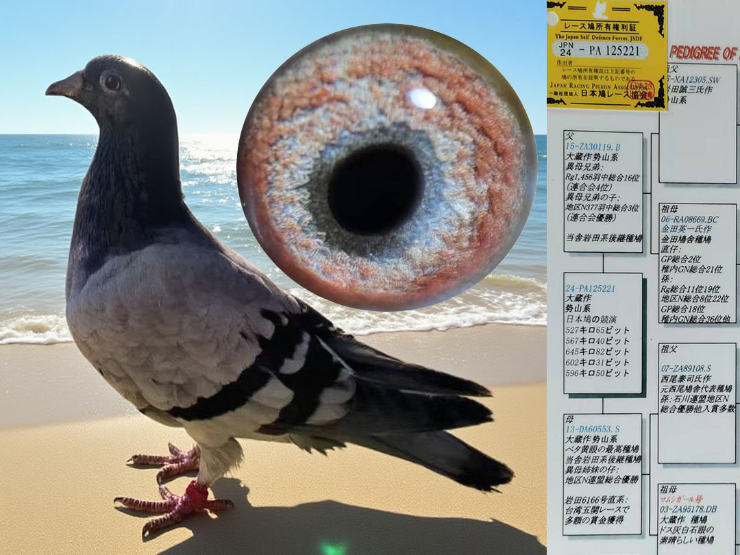 势山系雌