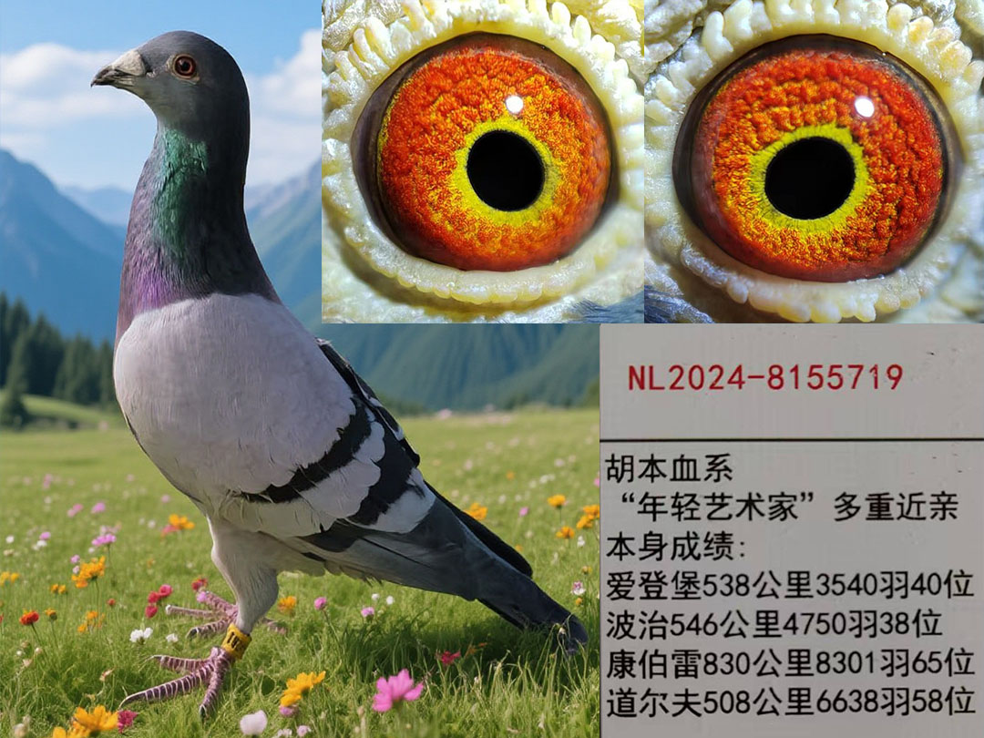 原环胡本雄